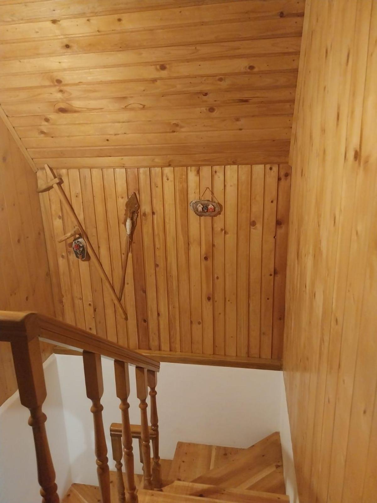 House In Forest Žabljak Exterior foto